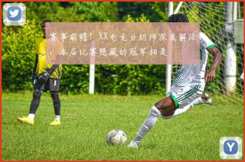赛事前瞻!XX电竞分析师深度解读,本届比赛隐藏的冠军相是
