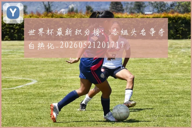 世界杯最新积分榜：各组头名争夺白热化_20260521201717
