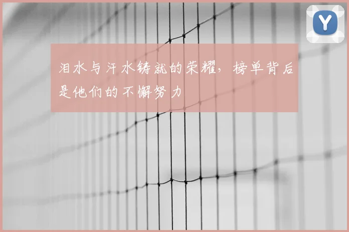 泪水与汗水铸就的荣耀，榜单背后是他们的不懈努力